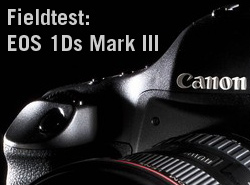 Fieldtest: Canon EOS 1Ds Mark III
